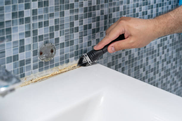 Best DIY Mold Remediation Support Services in Stoneville, NC